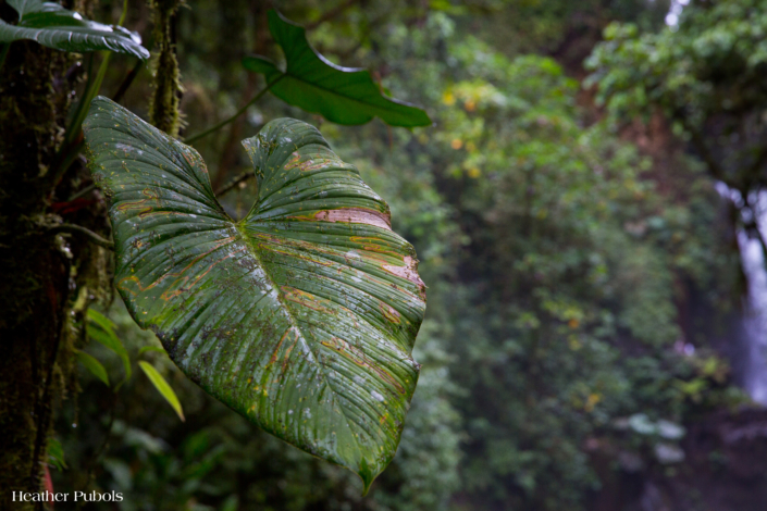 Documentary Photography Costa Rica